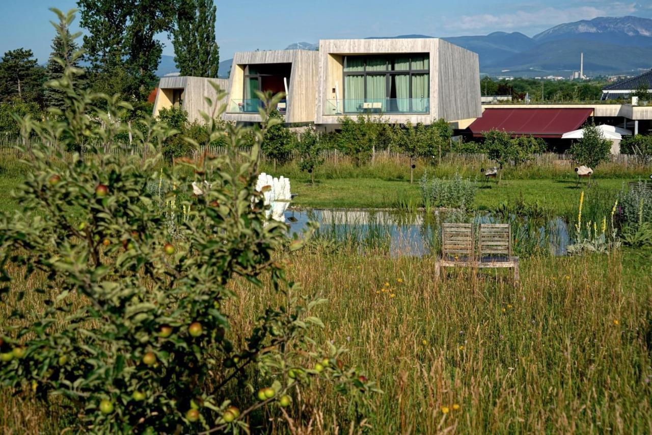 Gartenlofts Auf Gut Guntrams Schwarzau am Steinfelde Exterior photo