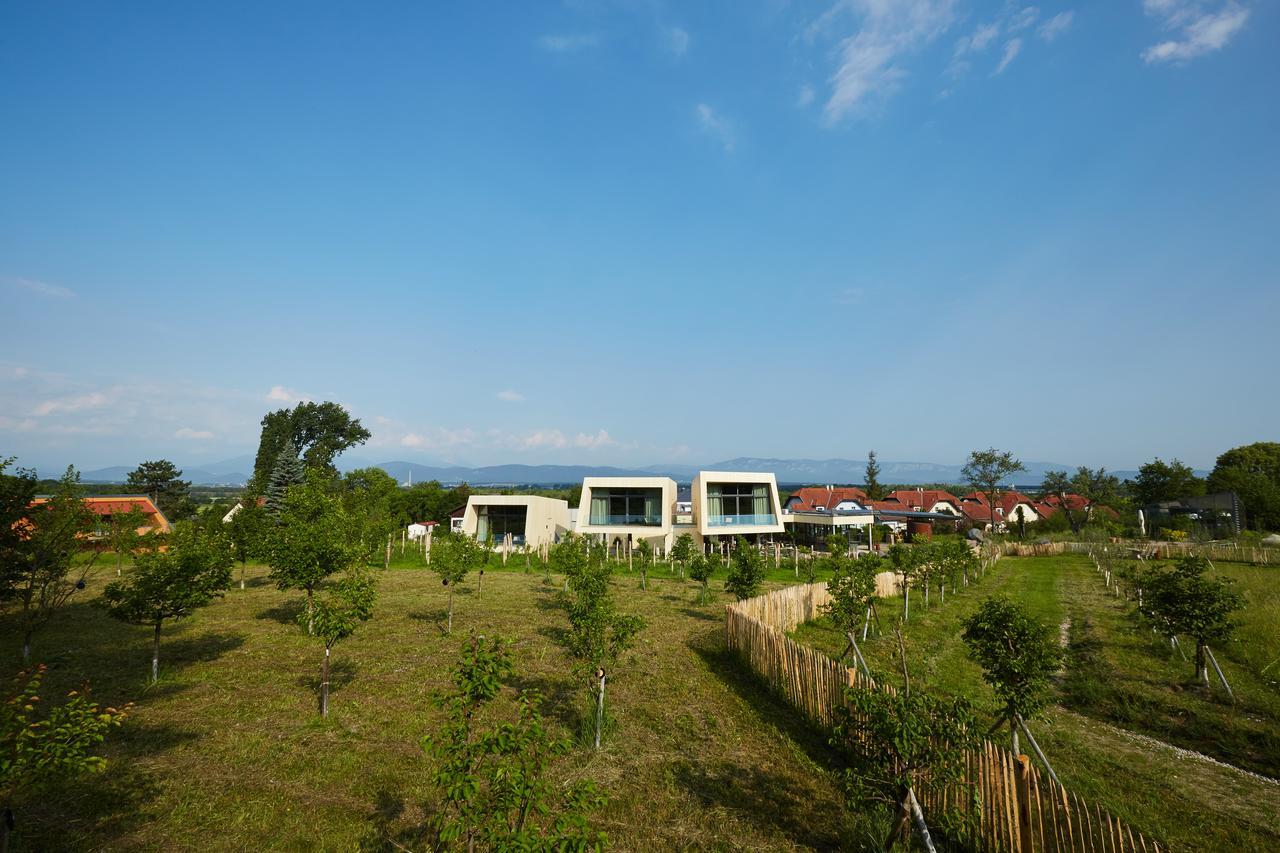 Gartenlofts Auf Gut Guntrams Schwarzau am Steinfelde Exterior photo